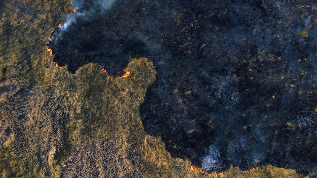 Vista aérea do drone sobre a queima de grama seca e fumaça em chamas de campo e fogo aberto vista superior cinza preta f