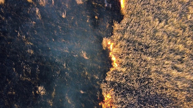 Vista aérea do drone sobre a queima de grama seca e fumaça em chamas de campo e fogo aberto