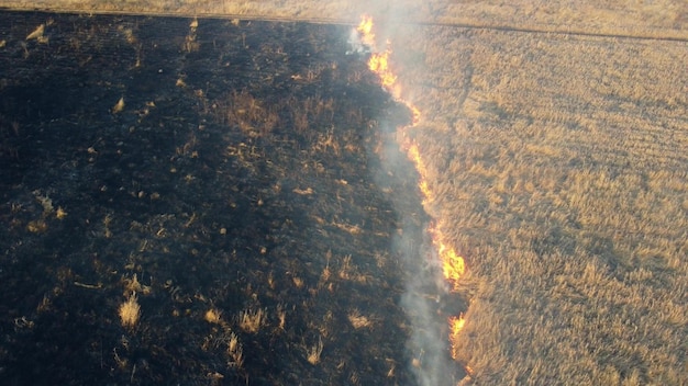 Vista aérea do drone sobre a queima de grama seca e fumaça em chamas de campo e fogo aberto