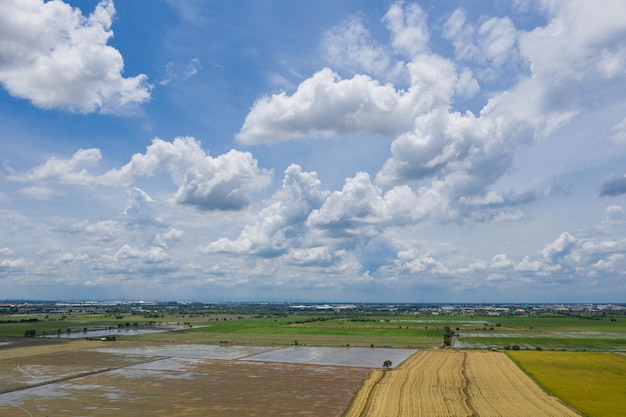 vista aérea do drone voador de arroz de campo com fundo de natureza paisagem verde padrão, vista superior