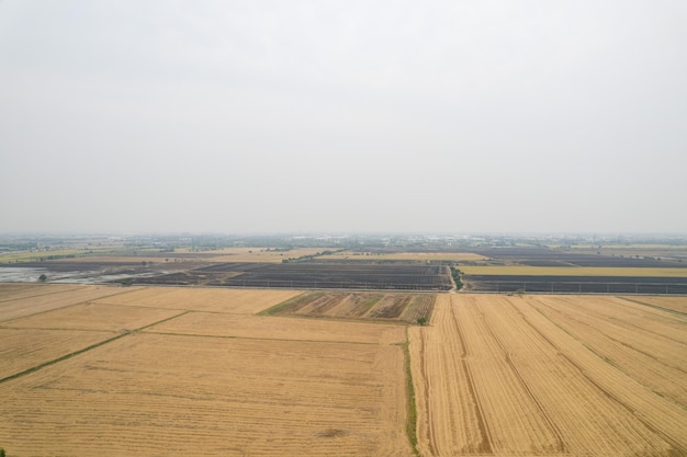 Vista aérea do drone voador de arroz de campo com padrão verde paisagem fundo da natureza vista de cima arroz de campo