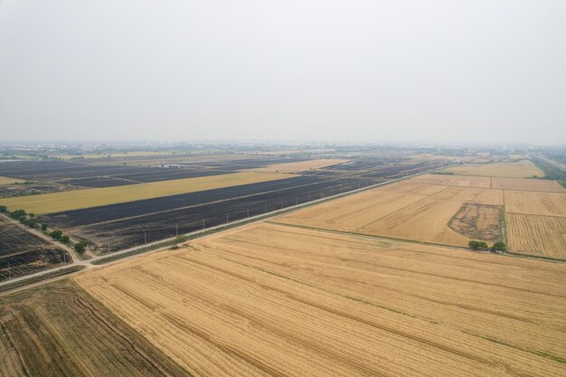 Vista aérea do drone voador de arroz de campo com padrão verde paisagem fundo da natureza vista de cima arroz de campo