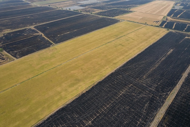 Vista aérea do drone voador de arroz de campo com padrão verde paisagem fundo da natureza vista de cima arroz de campo