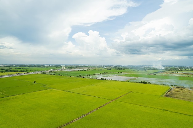 Vista aérea do drone voador de arroz de campo com padrão verde paisagem fundo da natureza vista de cima arroz de campo