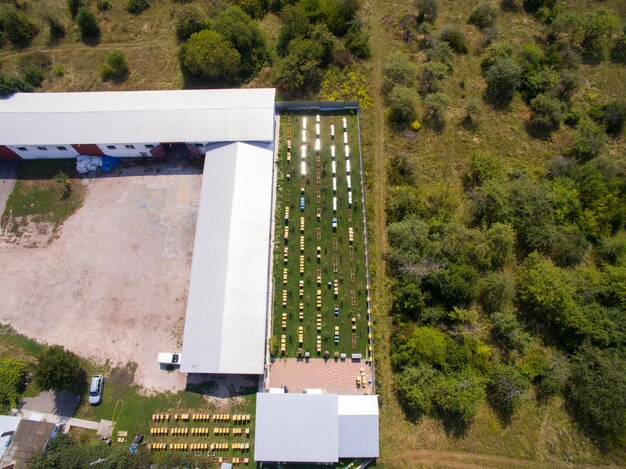 Vista aérea do Grande Apiário. Muitas famílias saudáveis de abelhas. Apicultura Industrial.