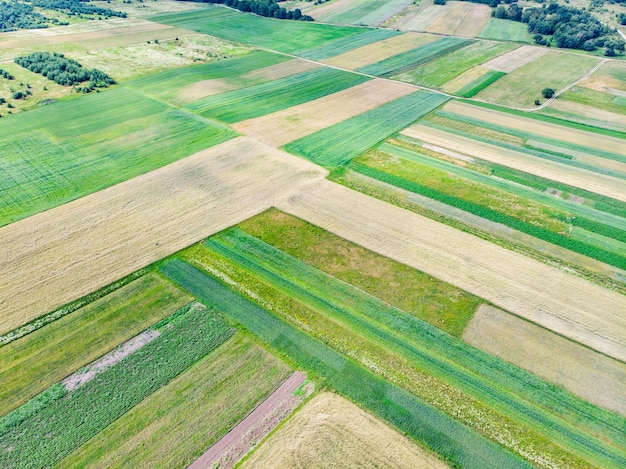 Vista aérea do horário de verão de campos verdes