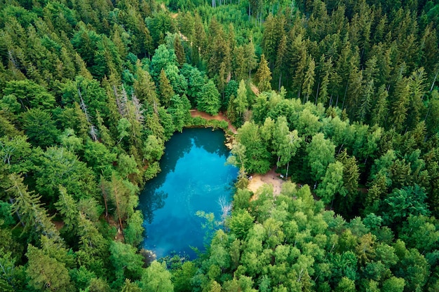 Vista aérea do lago azul da floresta na Polônia