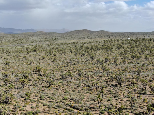 Vista aérea do parque nacional de joshua tree parque nacional do deserto americano no sudeste da califórnia