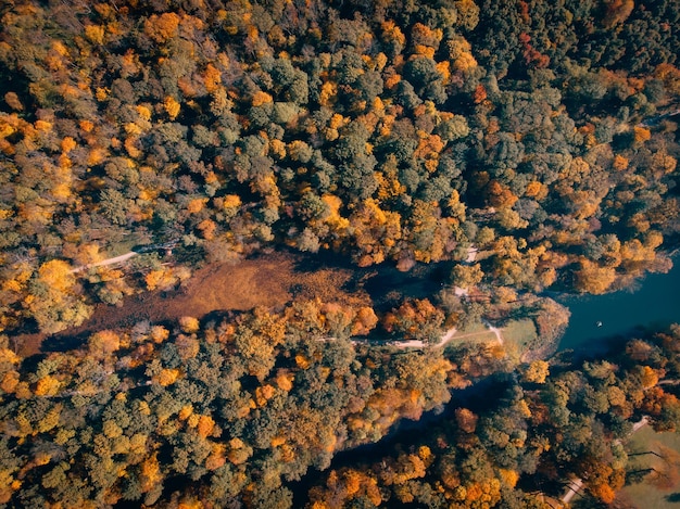 Foto vista aérea do parque outono com lago