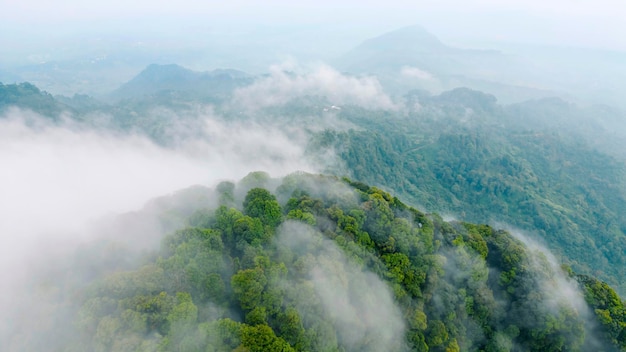 Vista aérea do pico da montanha com árvores verdes no nevoeiro