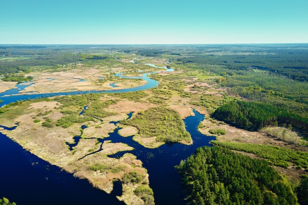 Vista aérea do plano de inundação do rio e da floresta verde no verão