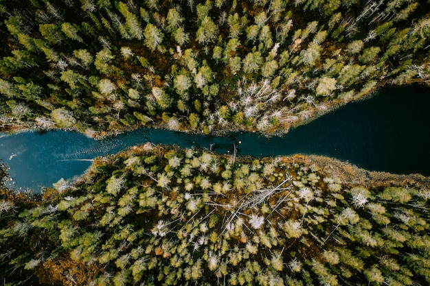 Vista aérea do rio de água azul com ponte suspensa e bosques verdes