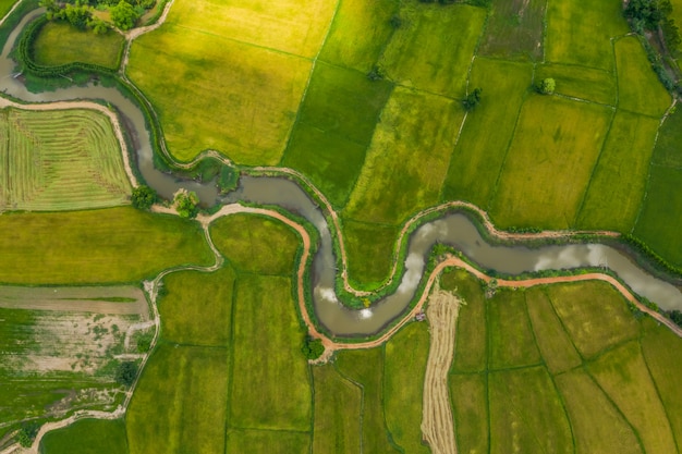 Foto vista aérea do rio desonesto em um campos