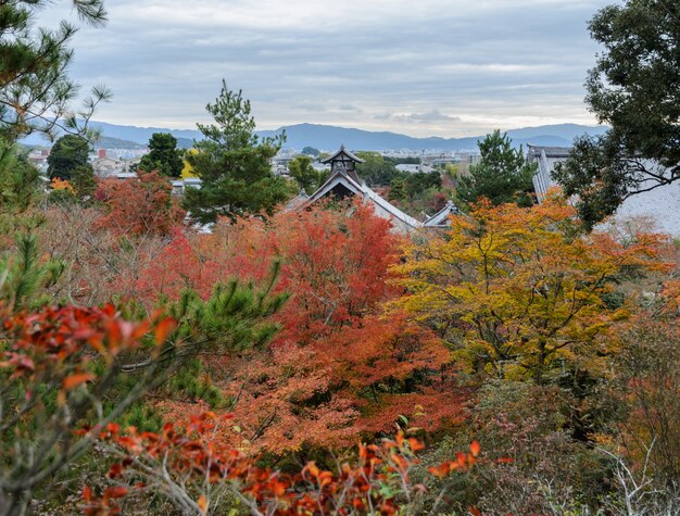 Vista aérea do templo Tenryuji durante a temporada de outono em Kyoto, Japão