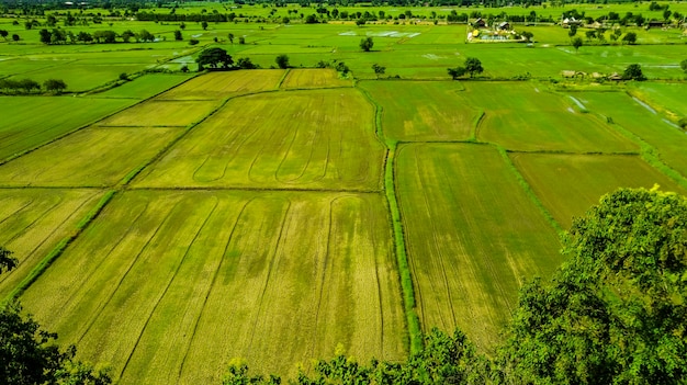 Vista aérea do terraço do campo de arroz verde na Tailândia, bela paisagem de campos de arroz verdes com montanha