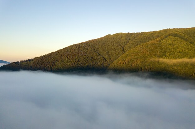 Vista aérea do vibrante nascer do sol sobre uma densa névoa branca