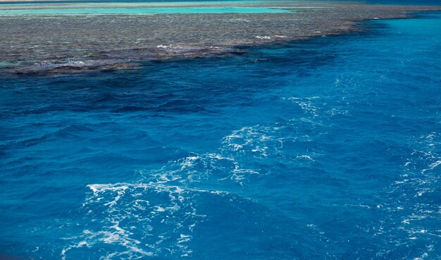 Vista aérea dos corais do Mar Vermelho e da ilha de areia, Egito