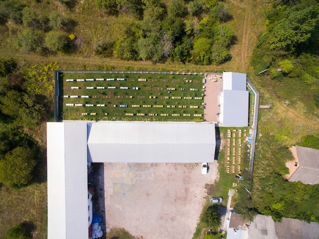 Foto vista aérea con dron del gran colmenar. muchas familias saludables de abejas melíferas. apicultura industrial.