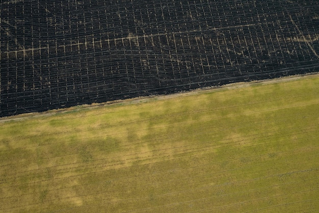 Vista aérea desde un dron volador del campo de arroz con un patrón verde del paisaje vista superior del fondo de la naturaleza