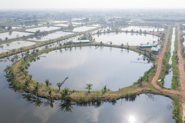 Vista aérea desde el dron volador de la piscifactoría de estanque de peces