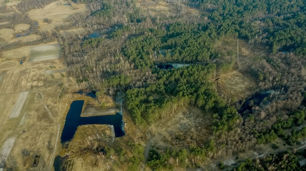 Vista aérea de drone de la deforestación de un bosque de pinos. El concepto de ecología cambia la sequía del bosque de árboles y los bosques refrescantes.