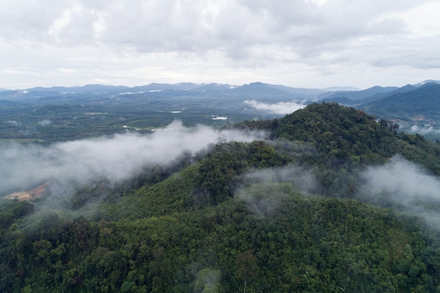 Vista aérea drone tiro de niebla que fluye olas en la selva tropical de montaña