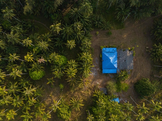 Vista aérea de drones de la hermosa isla de Kood de la selva de palmeras Tailandia