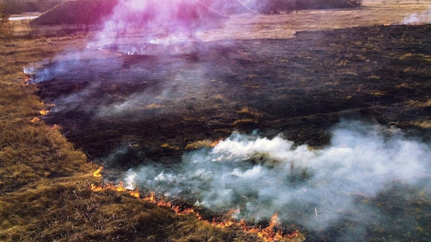 Vista aérea de drones sobre hierba seca quemada y humo en llamas de campo y fuego abierto