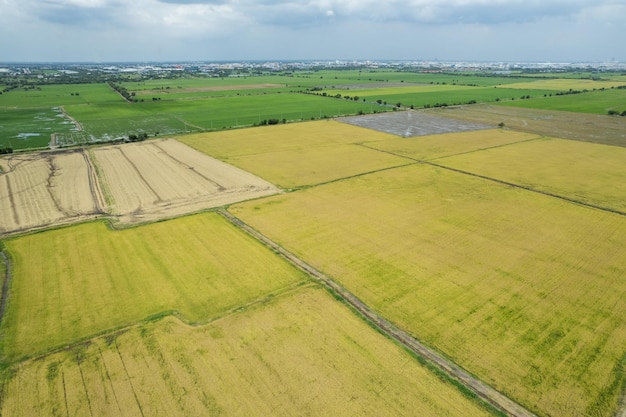 Vista aérea desde drones voladores de arroz de campo con paisaje verde patrón naturaleza fondo vista superior arroz de campo