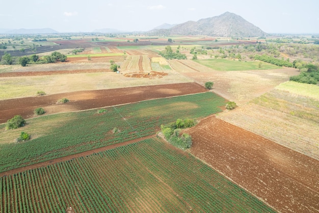 Vista aérea desde drones voladores de arroz de campo con paisaje verde patrón naturaleza fondo vista superior arroz de campo