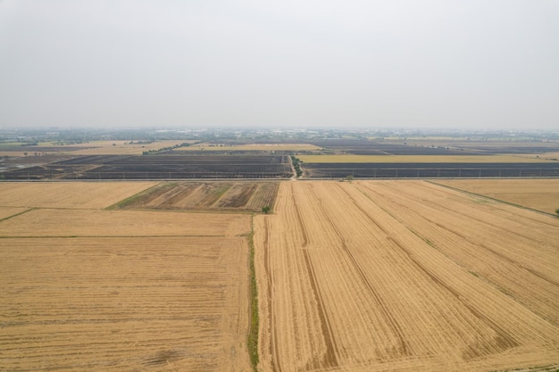 Vista aérea desde drones voladores de arroz de campo con paisaje verde patrón naturaleza fondo vista superior arroz de campo