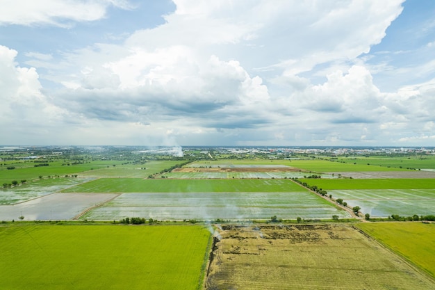 Vista aérea desde drones voladores de arroz de campo con paisaje verde patrón naturaleza fondo vista superior arroz de campo