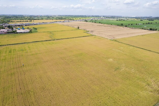 Vista aérea desde drones voladores de arroz de campo con paisaje verde patrón naturaleza fondo vista superior arroz de campo