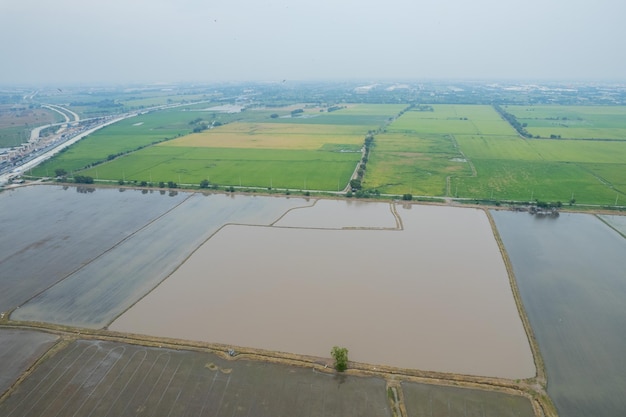 Vista aérea desde drones voladores de arroz de campo con paisaje verde patrón naturaleza fondo vista superior arroz de campo