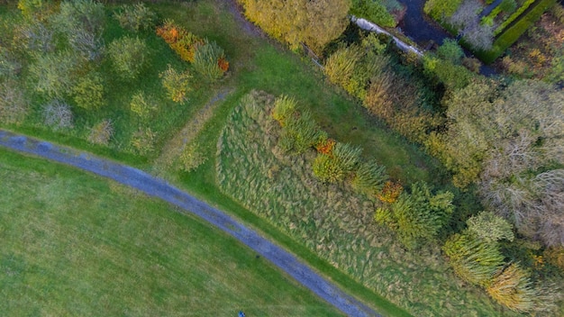 Vista aérea em campos verdes e prados Impressionante foto aérea sobre campos e prados verdejantes