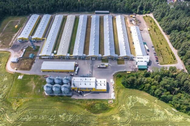 Vista aérea em silos e complexo pecuário agroindustrial em agroprocessamento e planta de fabricação com moderno elevador de celeiro linhas de granja de galinheiro