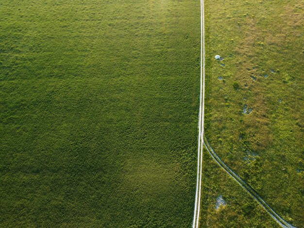 Vista aérea em um campo de trigo verde na zona rural de campo de trigo ao vento no pôr do sol jovem