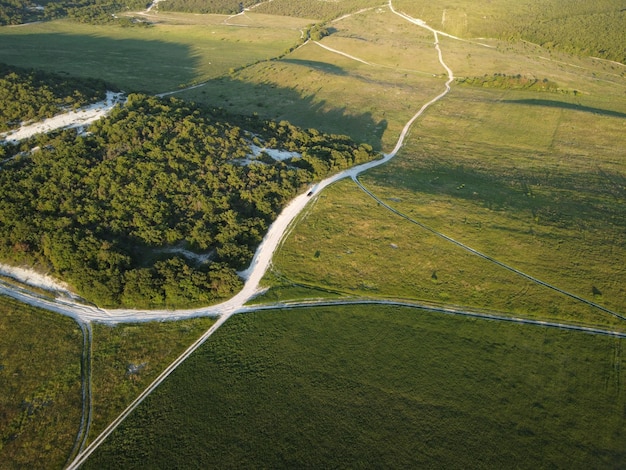 Vista aérea em um campo de trigo verde na zona rural de campo de trigo ao vento no pôr do sol jovem