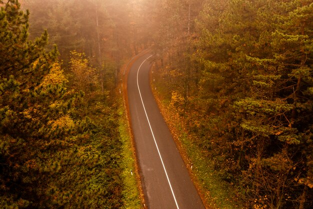 Vista aérea del espeso bosque en otoño con la carretera cortando