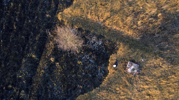 Vista aérea extintor de incêndio bombeiro extinguindo a queima de grama seca chamas abertas de fogo e fumaça