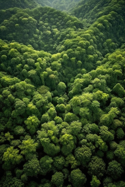 Vista aérea de un exuberante bosque verde creado con ai generativo