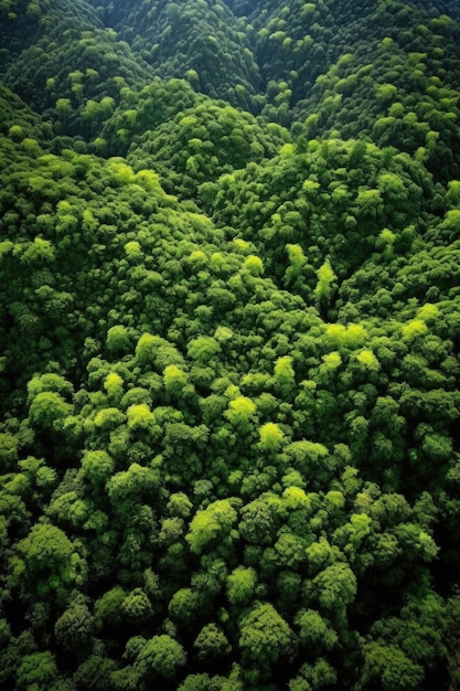 Vista aérea del exuberante paisaje forestal verde creado con ai generativo