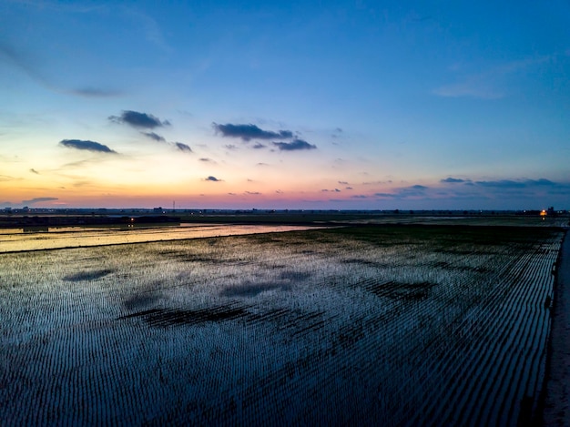 Vista aérea del famoso campo de padi durante la puesta de sol Sekinchan Selangor Malaysia Fotografía de tiro con drones