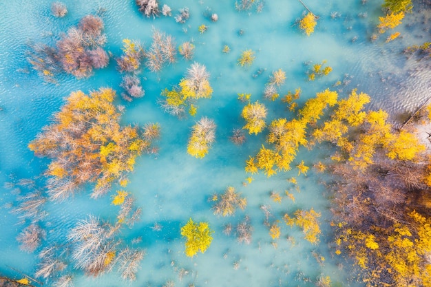 Foto vista aérea floresta de bétulas em água azul-turquesa lago abraham cenário natural no outono lago de montanha e árvores parque nacional de banff alberta canadá foto para plano de fundo e papel de parede