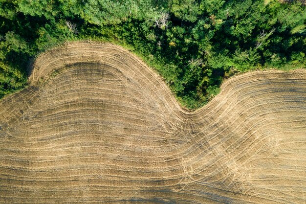 Foto vista aérea de la forma de los campos toscana italia