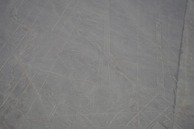 Vista aérea del geoglifo del loro en las Líneas de Nazca en Perú