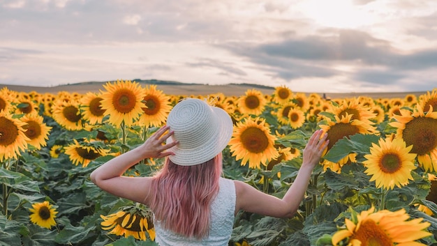 Vista aérea de los girasoles