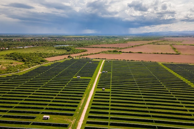 Vista aérea de la gran planta de energía eléctrica sostenible con muchas filas de paneles solares fotovoltaicos para producir energía eléctrica limpia y ecológica. Electricidad renovable con concepto de emisión cero.