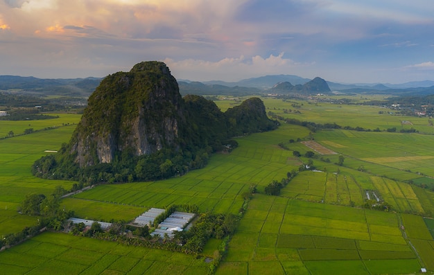 Foto vista aérea de grandes arrozales