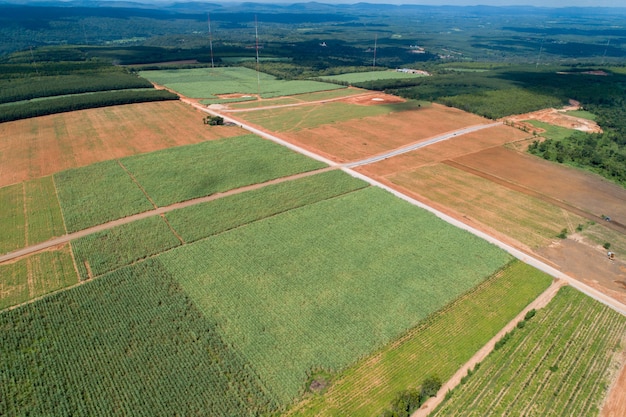 Vista aérea de la granja verde